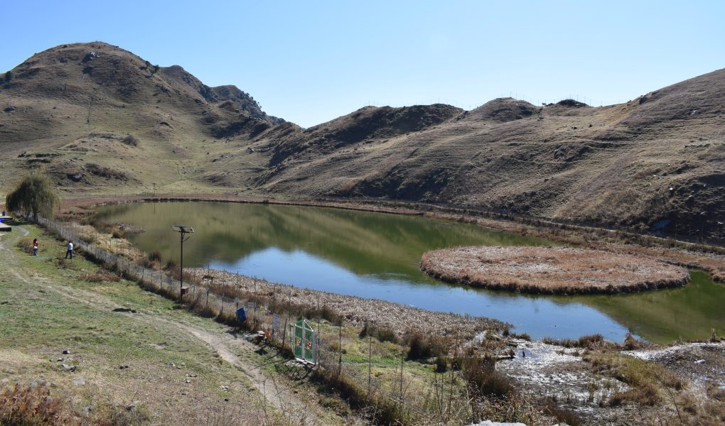 Himachal Pradesh: Healing in the Himalayas