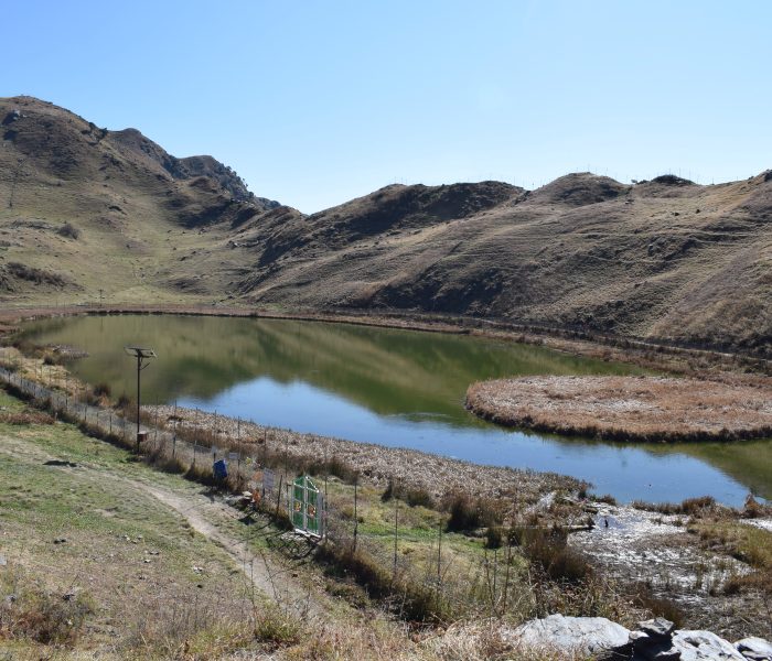 Himachal Pradesh: Healing in the Himalayas