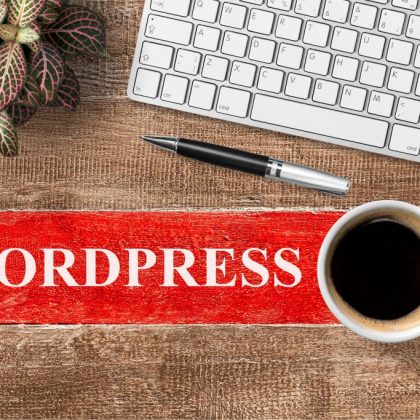 Professional WordPress development company Cyberorama