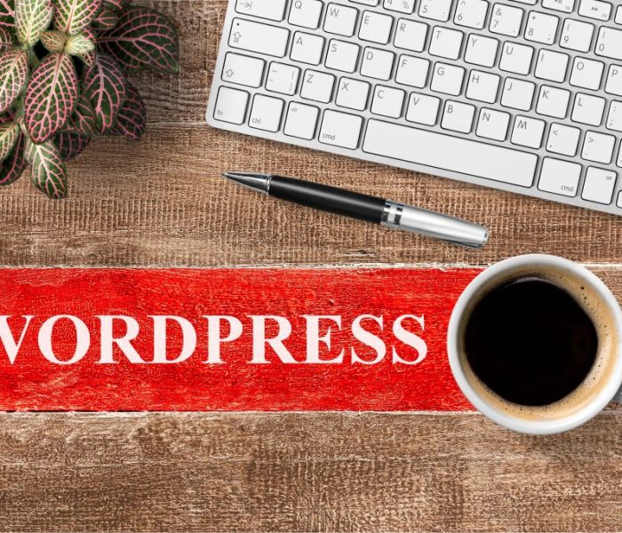 Professional WordPress development company Cyberorama